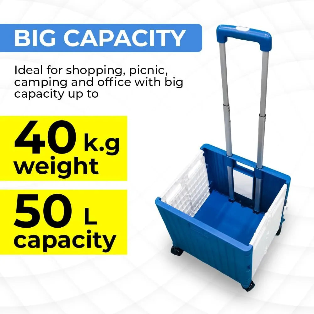 Portable shopping cart