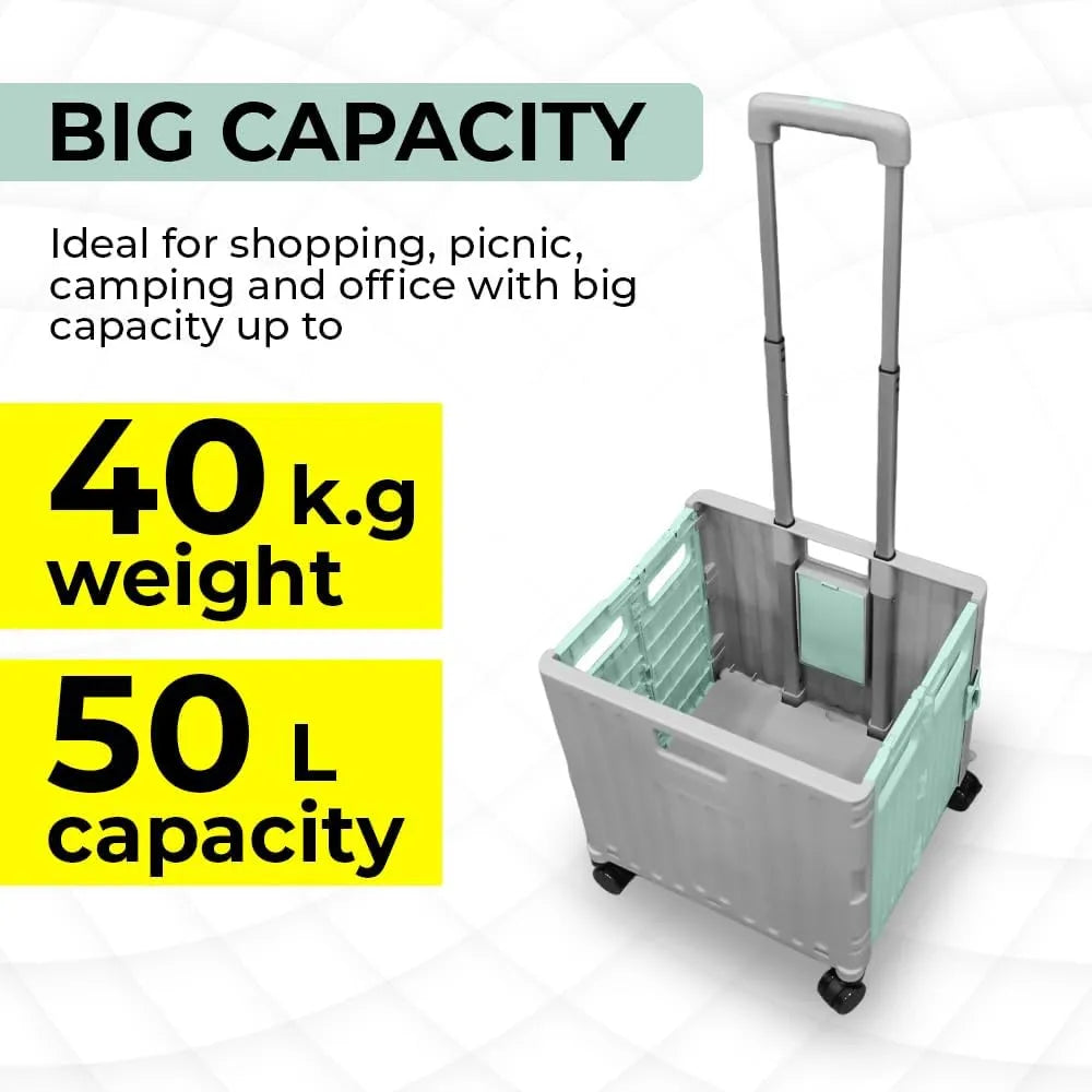 Foldable plastic cart from Birigroupca