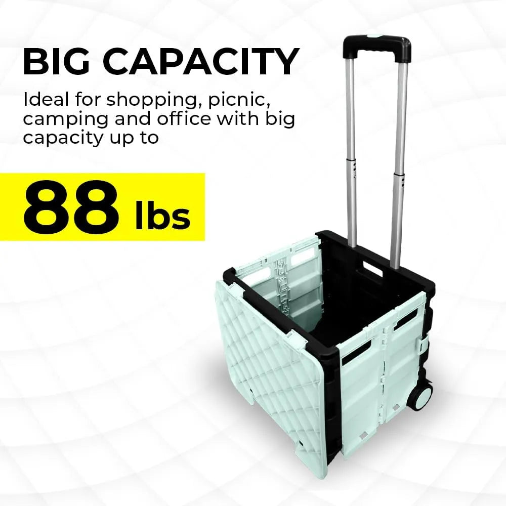 Foldable Plastic Cart from Birigroupca