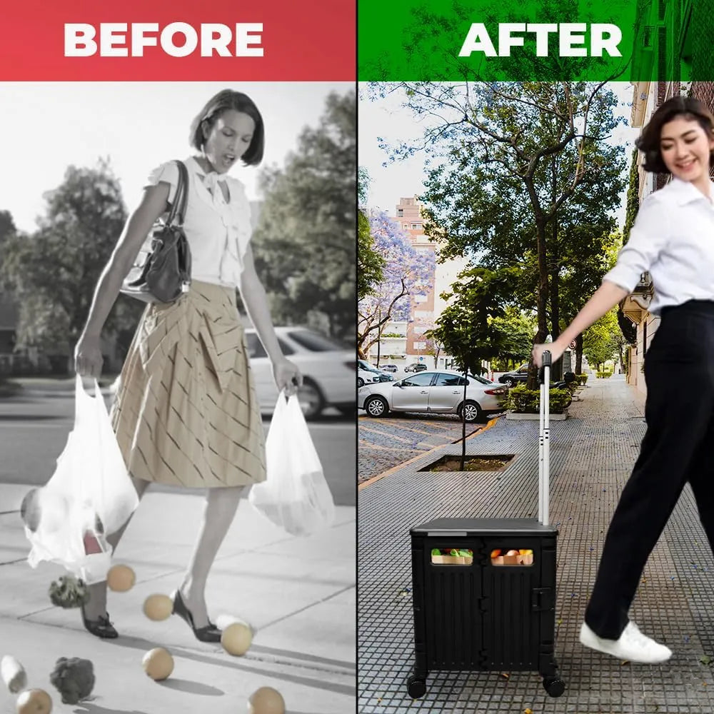 Foldable Plastic Cart from Birigroupca