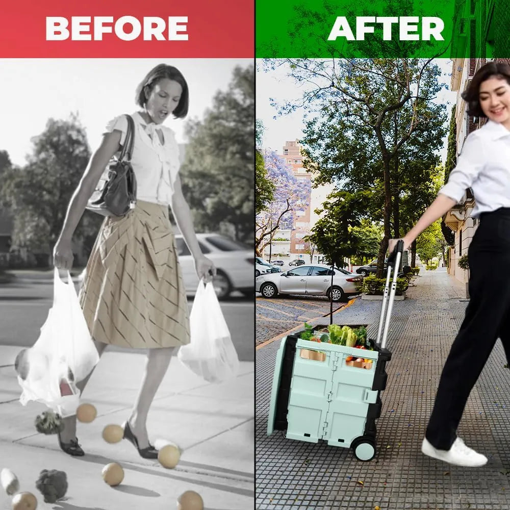 Foldable Plastic Cart from Birigroupca