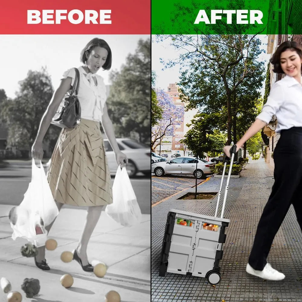 Big capacity shopping cart