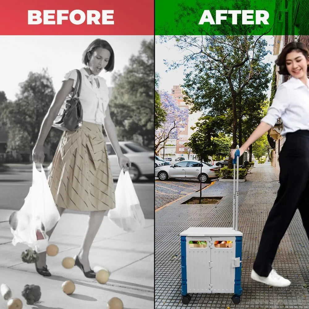 Portable shopping cart
