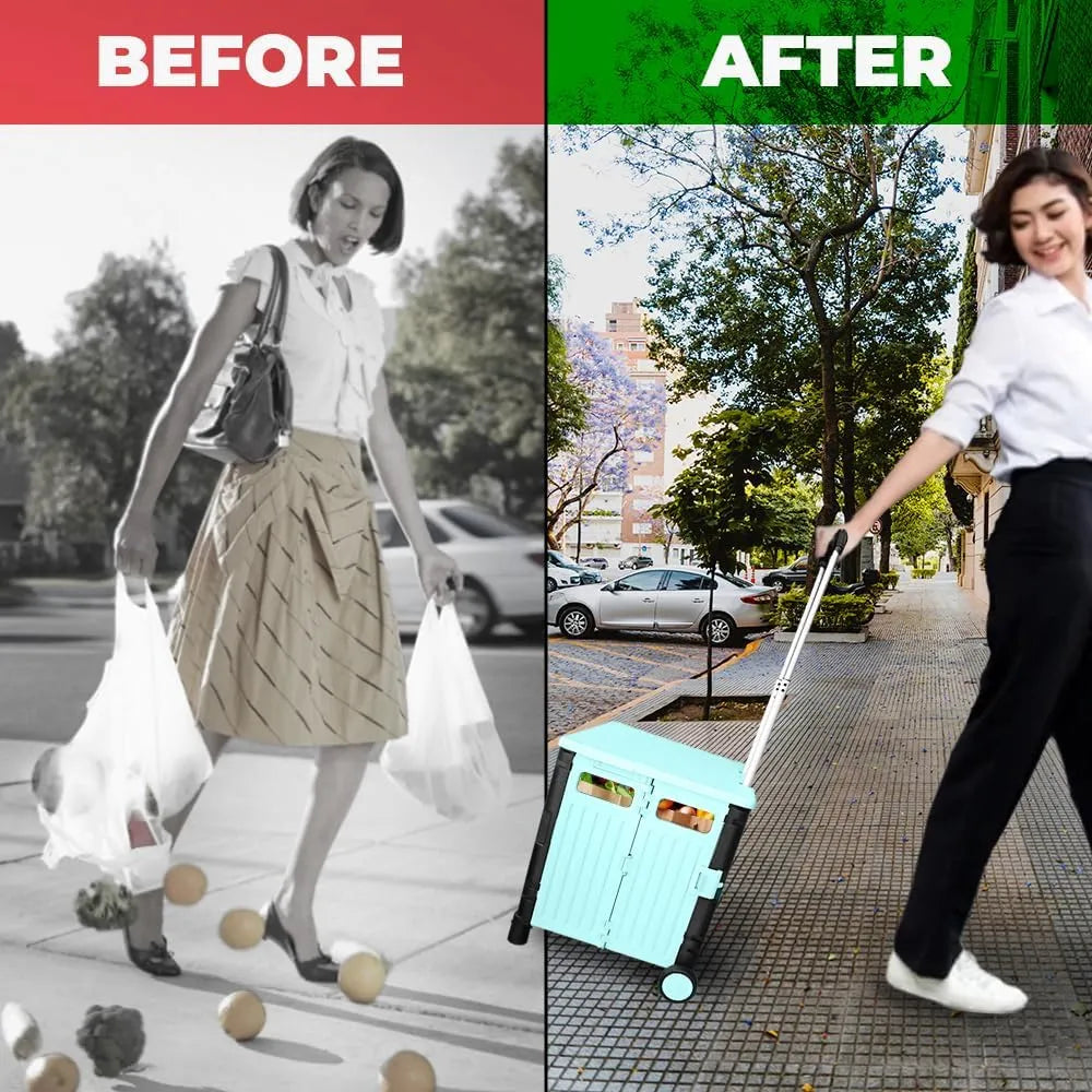 Foldable plastic cart from Birigroupca