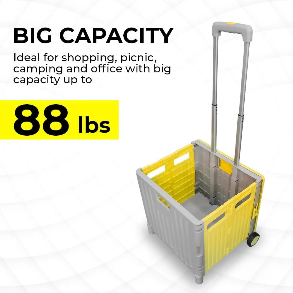 Foldable cart from Birigroupca