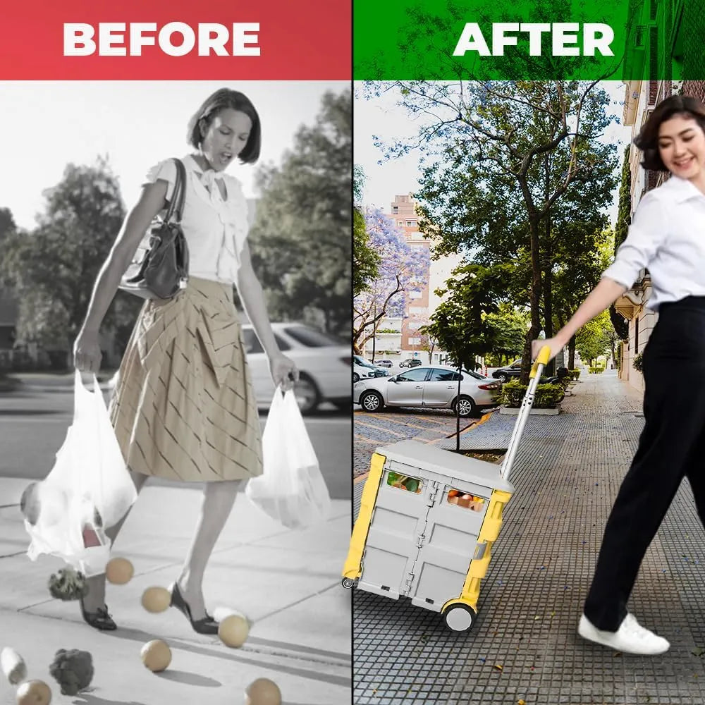Portable shopping cart