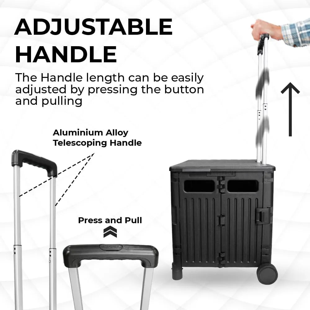 Foldable Cart from Birigroupca