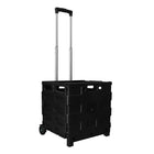 25 kg shopping trolley