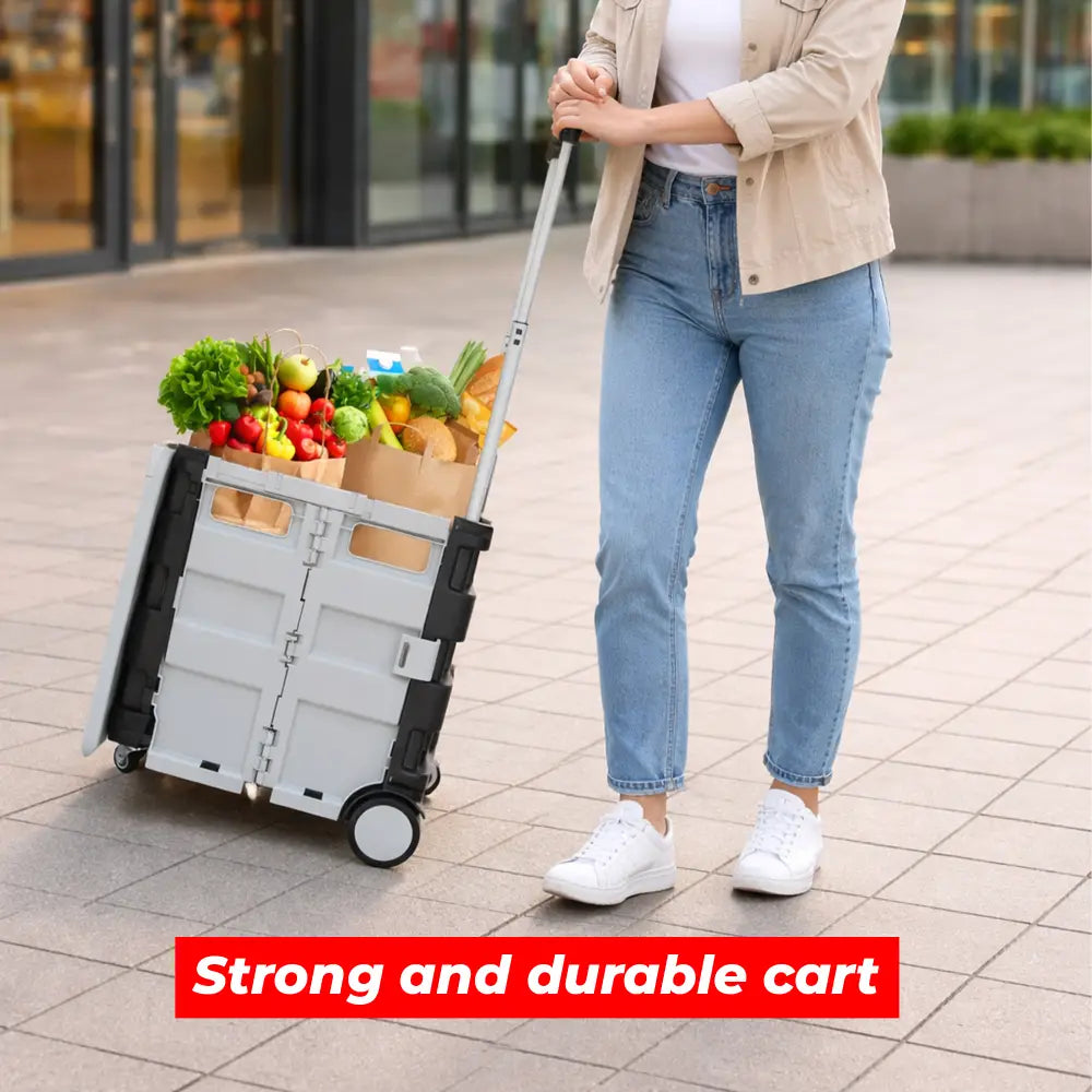 Grocery cart canada