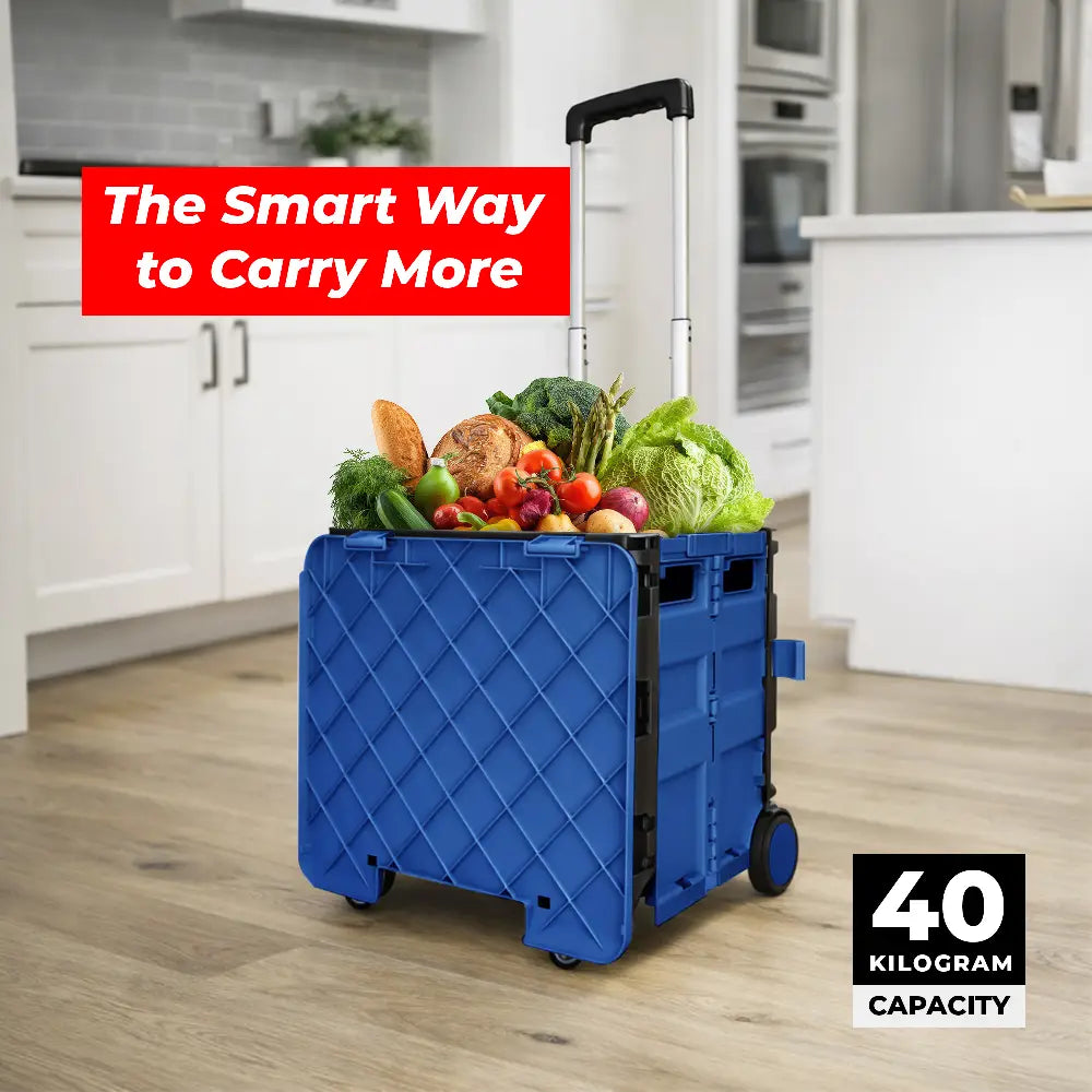 40KG shopping trolley cart
