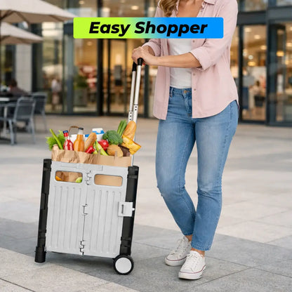 Shopping cart 
