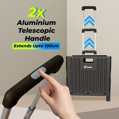 Trolley with handle