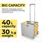 Big Capacity Grocery Cart