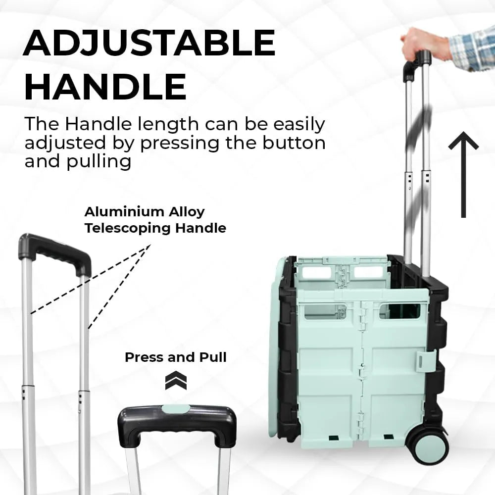 Grocery cart with adjustable handle