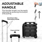 Foldable Black Plastic Trolley