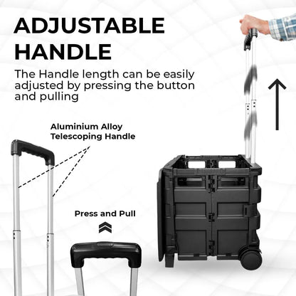 Foldable Plastic Trolley from Birigroupca