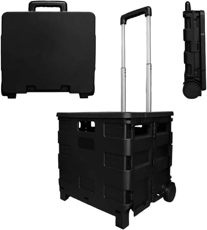 Foldable Plastic Trolley from Birigroupca