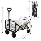Weather Resistant Wagon Trolley
