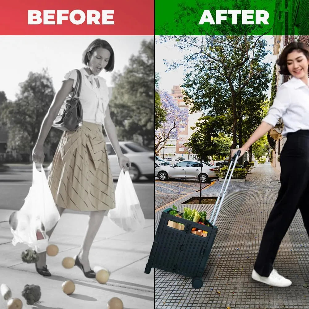 Foldable Cart from Birigroupca
