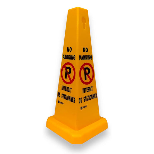 No parking cone from Birigroupca