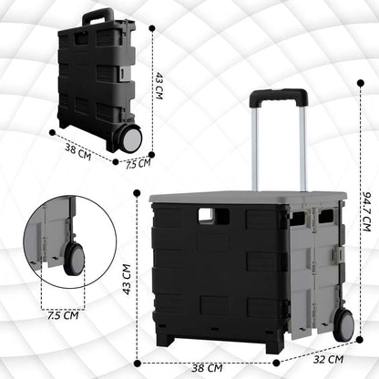 Berry 40KG Foldable Shopping Trolley, Plastic Trolley Cart with 2 Wheels and Lid, Portable Cart, Grey and Black